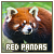 Red Panda