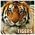 Tigers