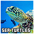 Sea Turtles