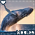 Whales