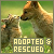 Adopted and Rescued Animals