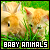 Baby Animals