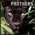 Black Panthers