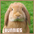 Bunnies & Rabbits