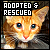 Adopted & Rescued Cats