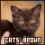 Brown Cats