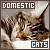 Domestic Cats