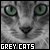 Grey Cats