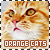 Orange/Red Cats