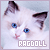 Ragdoll Cats