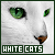 White Cats