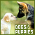 Dogs & Puppies