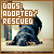 Adopted and Rescued Dogs