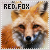 Red Fox