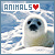 Animals 2025-11-19